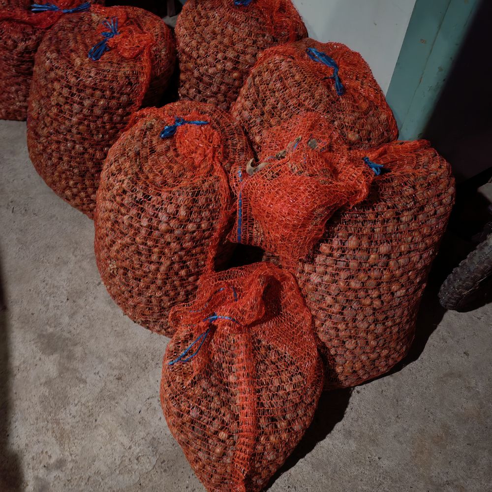 Rimski i istarski thumbnail 4