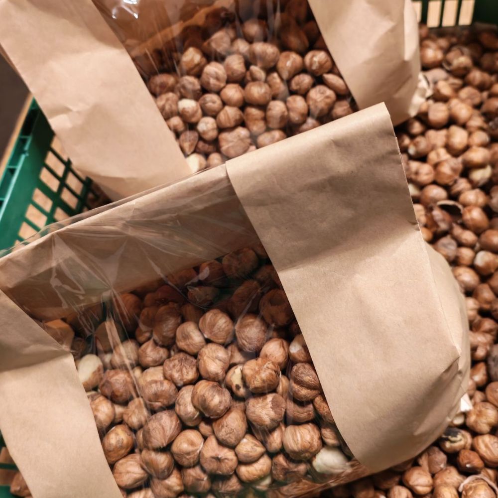 Rimski i istarski thumbnail 6