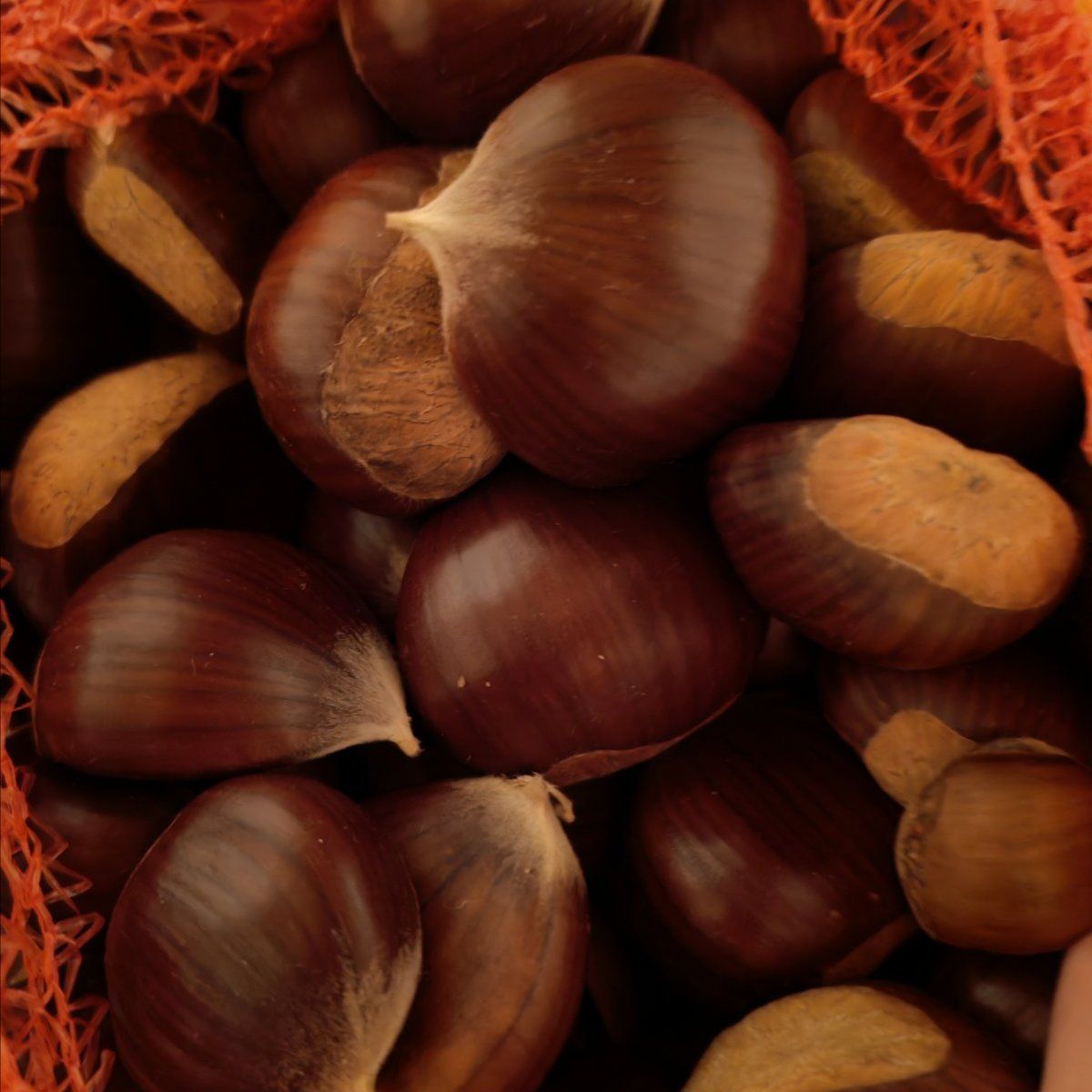  - Image 1