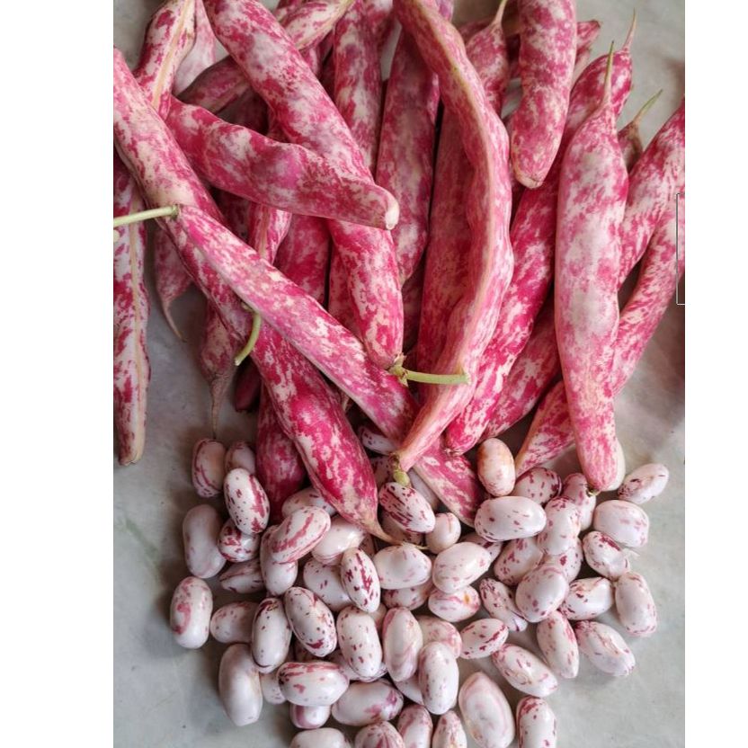 EKO mladi u mahuni thumbnail 3