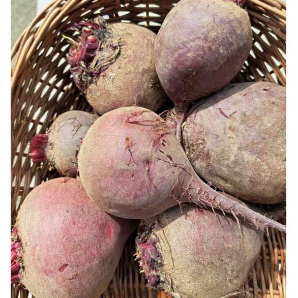 EKO za kuhanje thumbnail 2