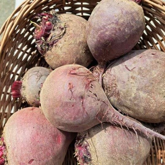 EKO za kuhanje - Image 1