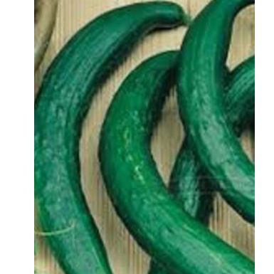 Eko kineski  - Image 1