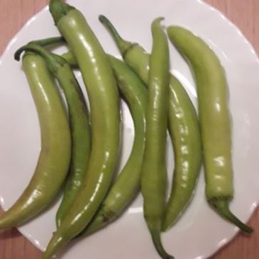 EKO zelene ljute - Image 1