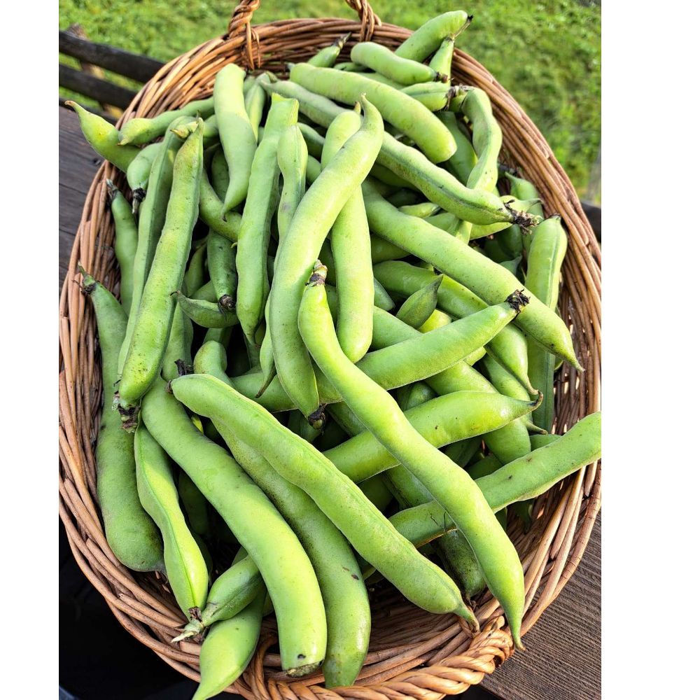 EKO Mladi thumbnail 2