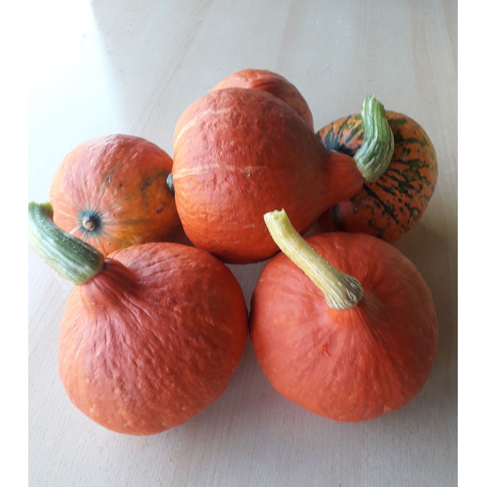 EKO hokaido cca 0,8 kg thumbnail 2