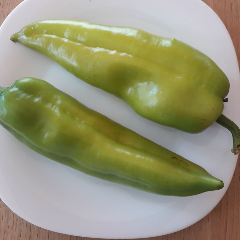 EKO zelena roga - Image 1