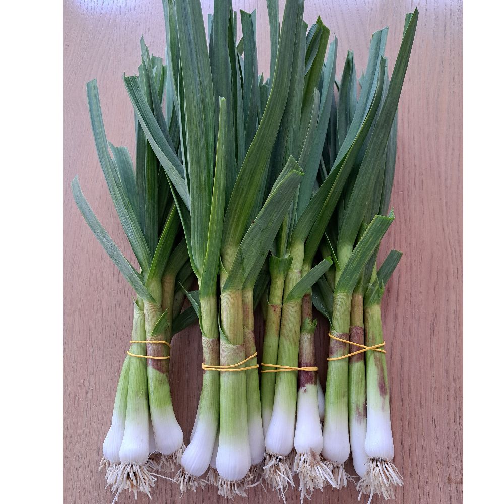 mladi - eko - Image 1