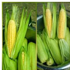 šećerac thumbnail 3