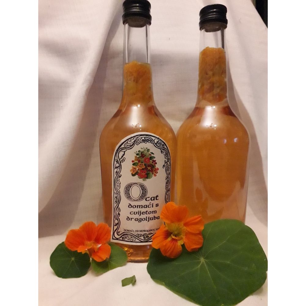 s dragoljubom thumbnail 2