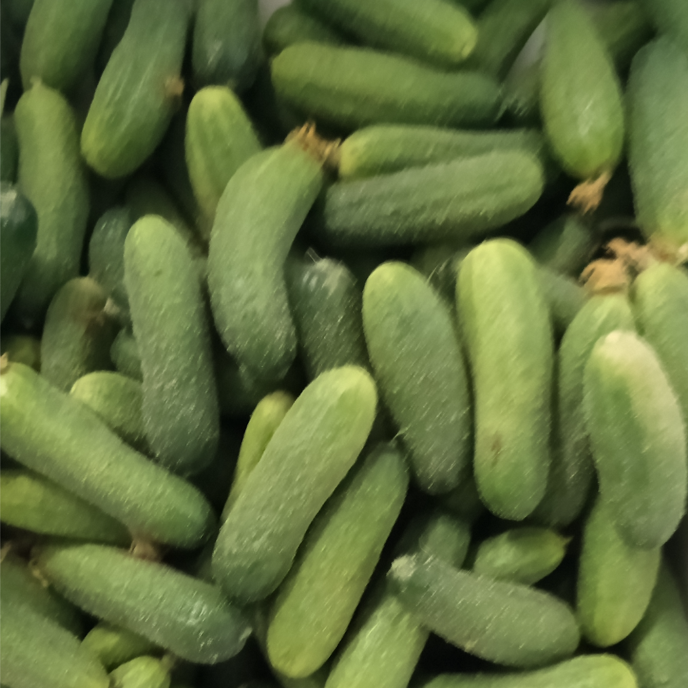 Akcija 3kg - Image 1