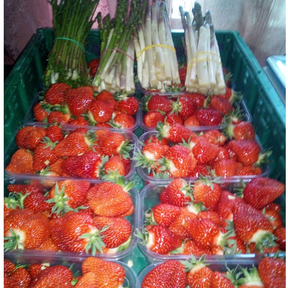 domaća miholjačka thumbnail 6