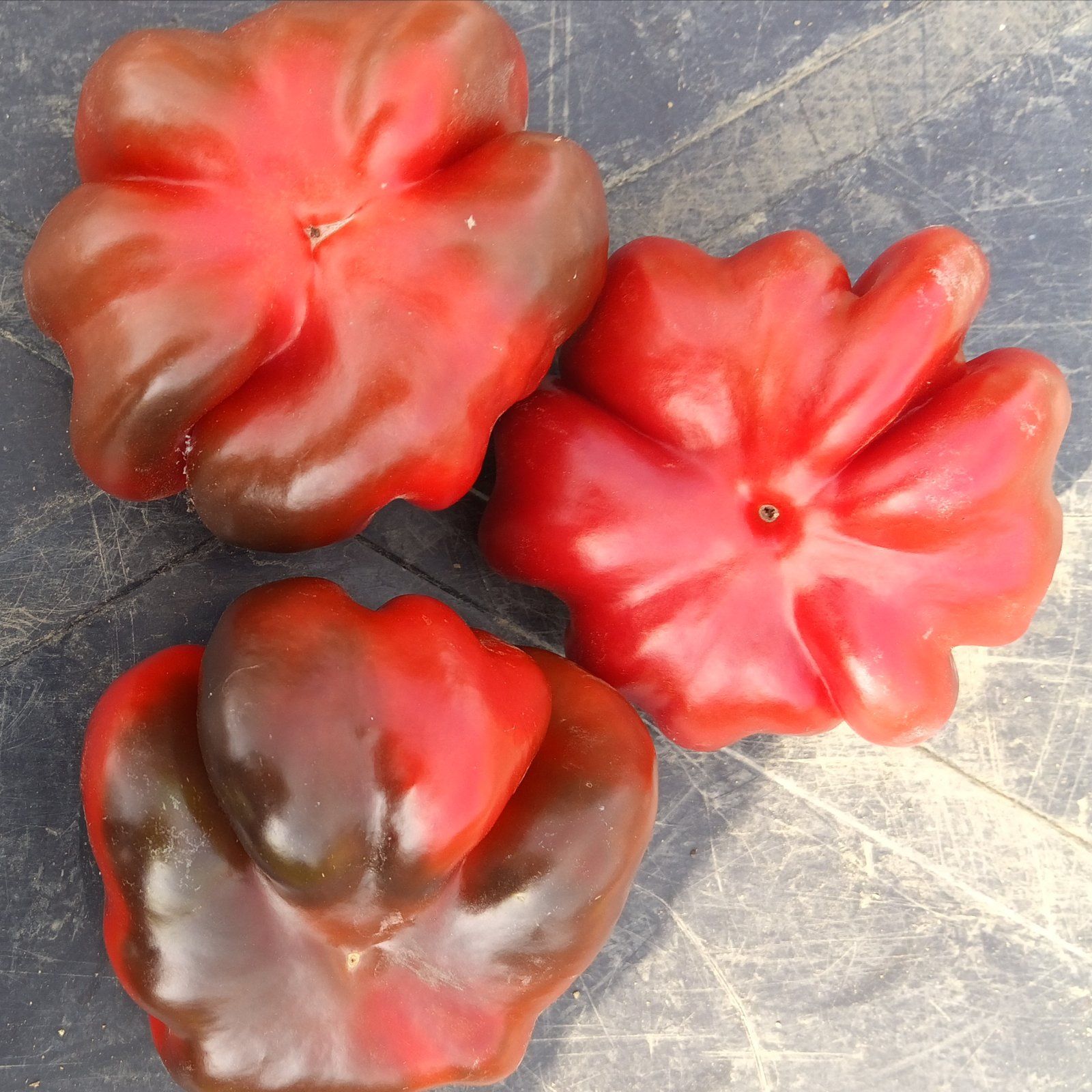 Crvena paradajz paprika - Image 1