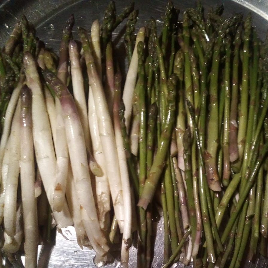 zelena i bijela, vezica - Image 1