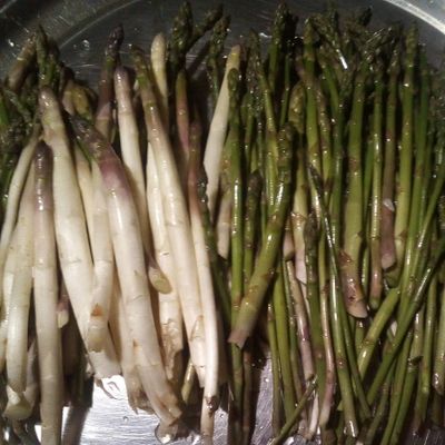 zelena i bijela, vezica