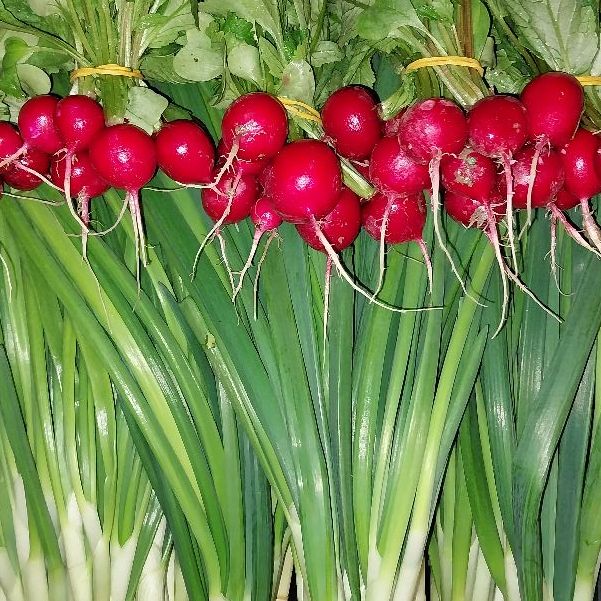 Hrskava i sočna baby thumbnail 2