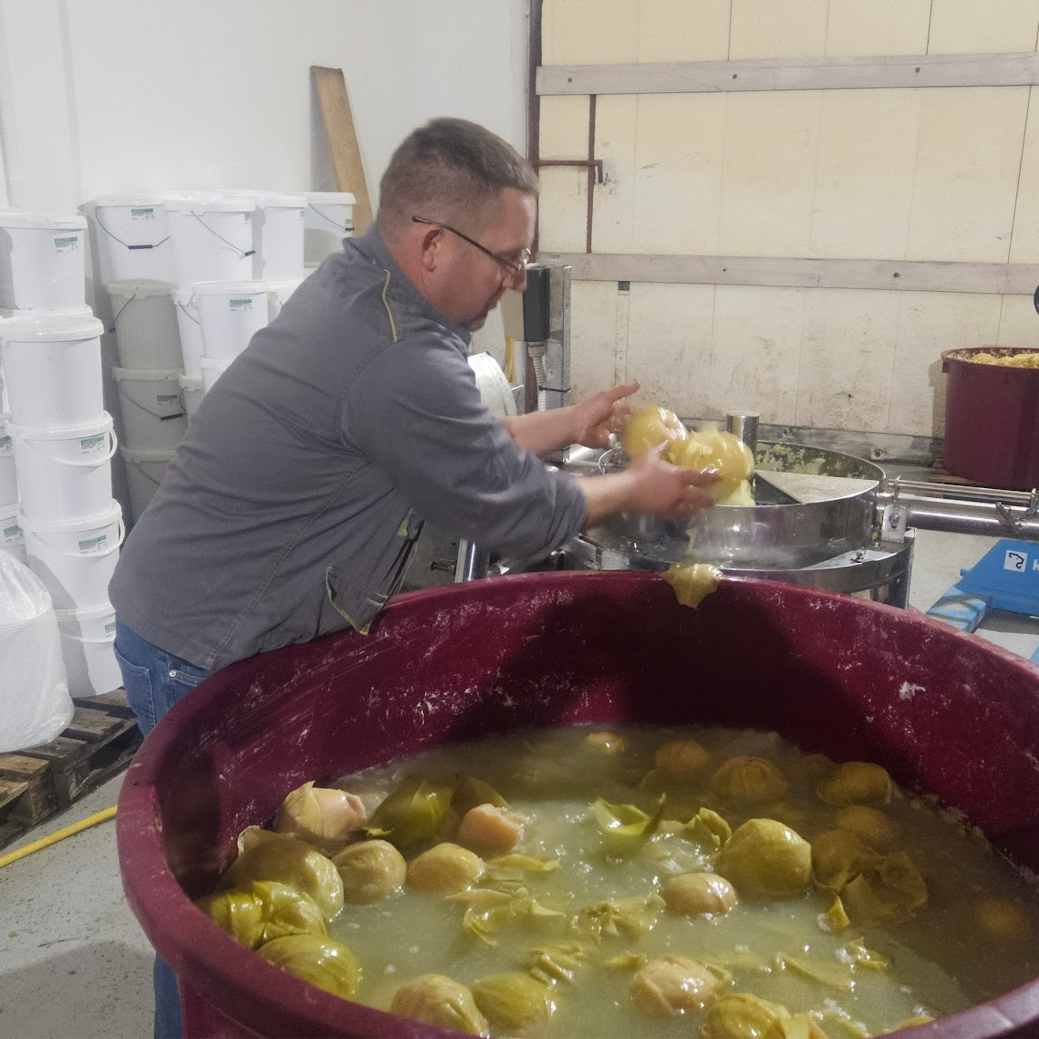 kupus - ogulinski thumbnail 2