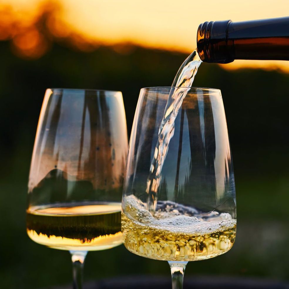 Pinot Sivi - polusuho - Image 1