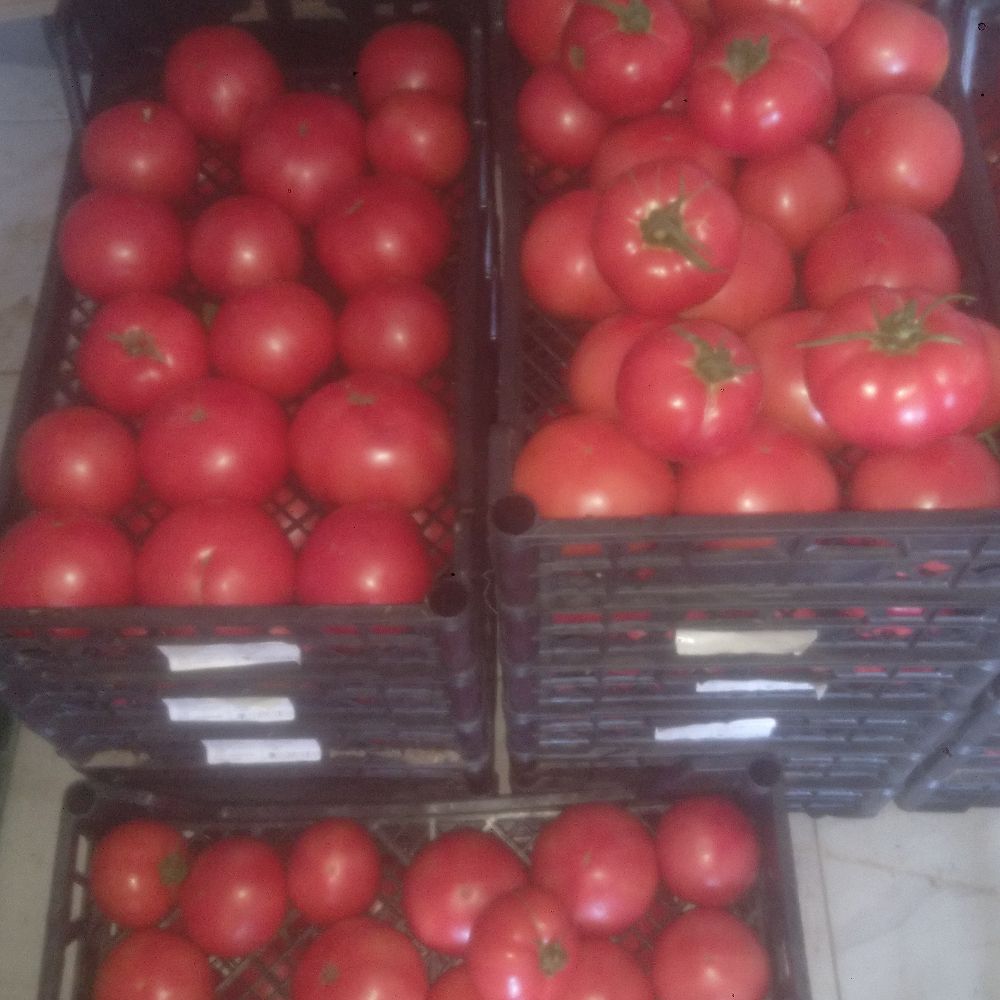 za kuhanje - Image 1