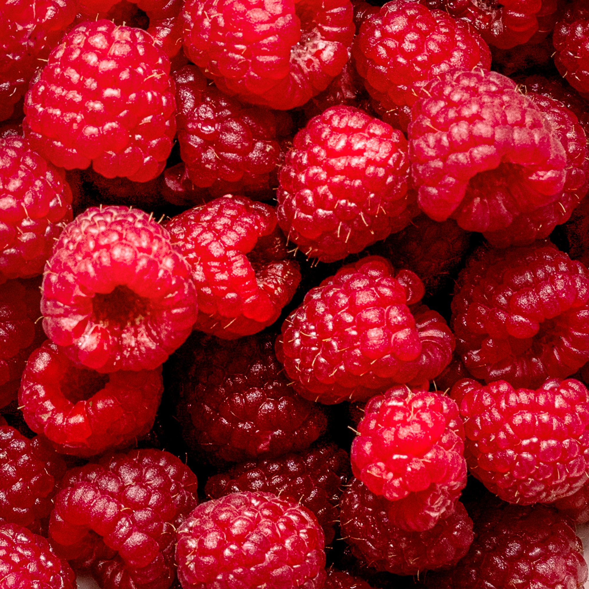 Raspberries - 