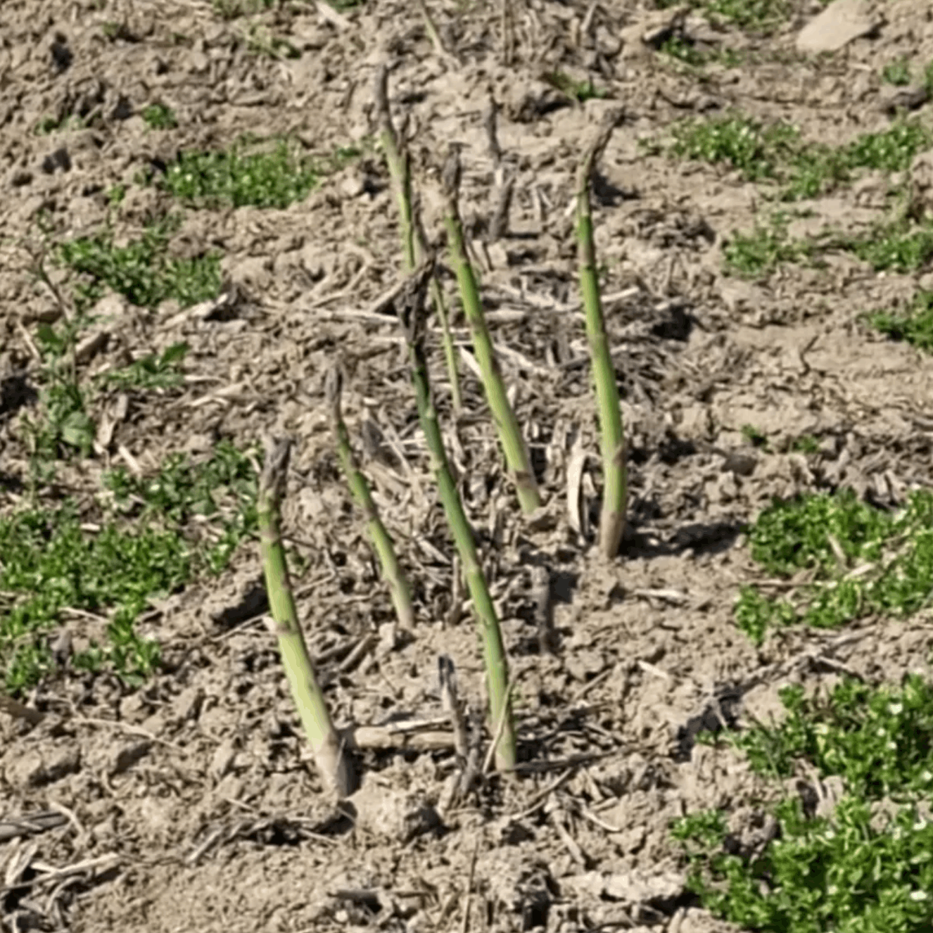 u prijelaznom razdoblju thumbnail 2