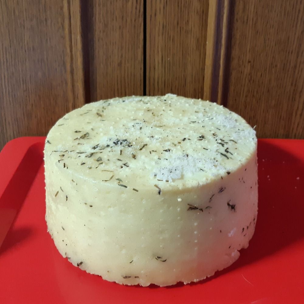 polutvrdi - mediteransko bilje - Image 1