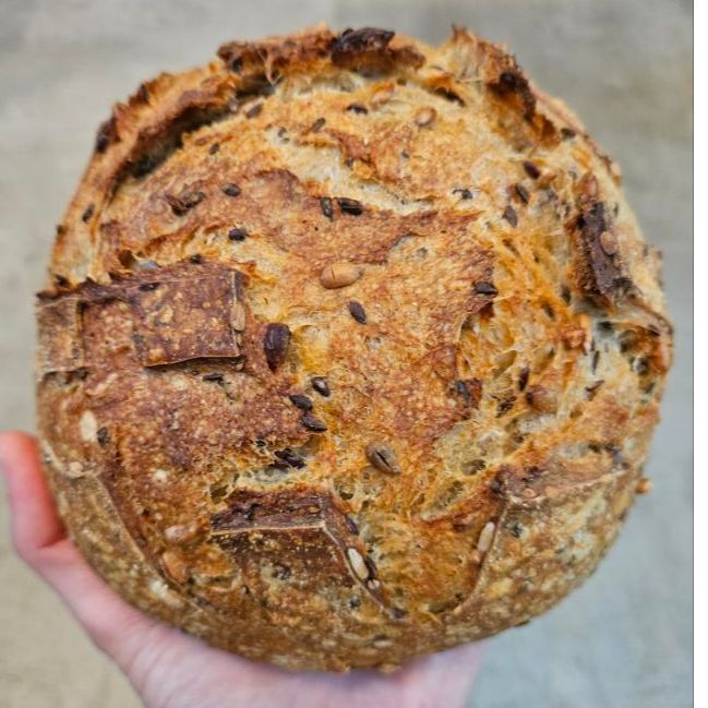 Sourdough - sjemenke - Image 1