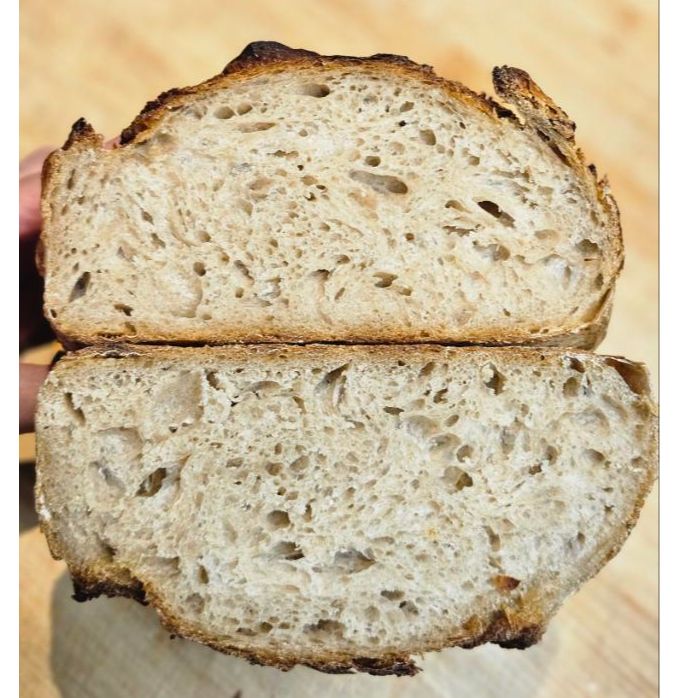 Sourdough - miješani thumbnail 2