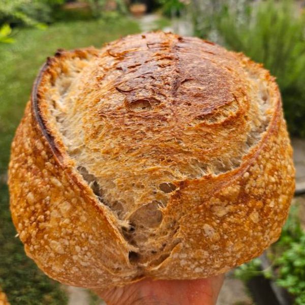 Sourdough - miješani - Image 1