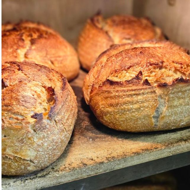 Sourdough - miješani thumbnail 3