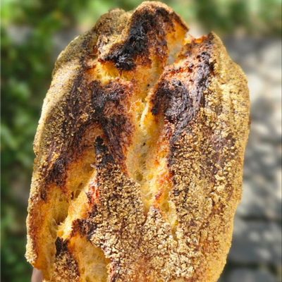 Sourdough - kukuruzni 