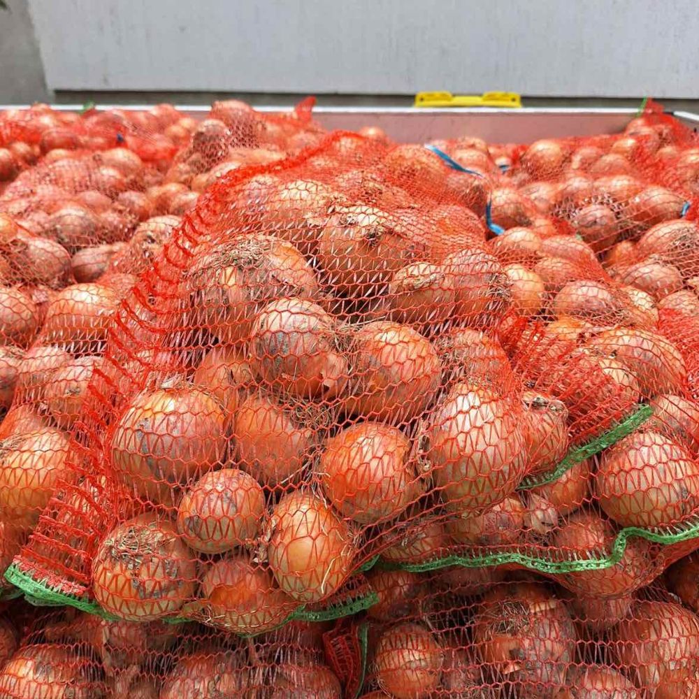 Crockett thumbnail 7