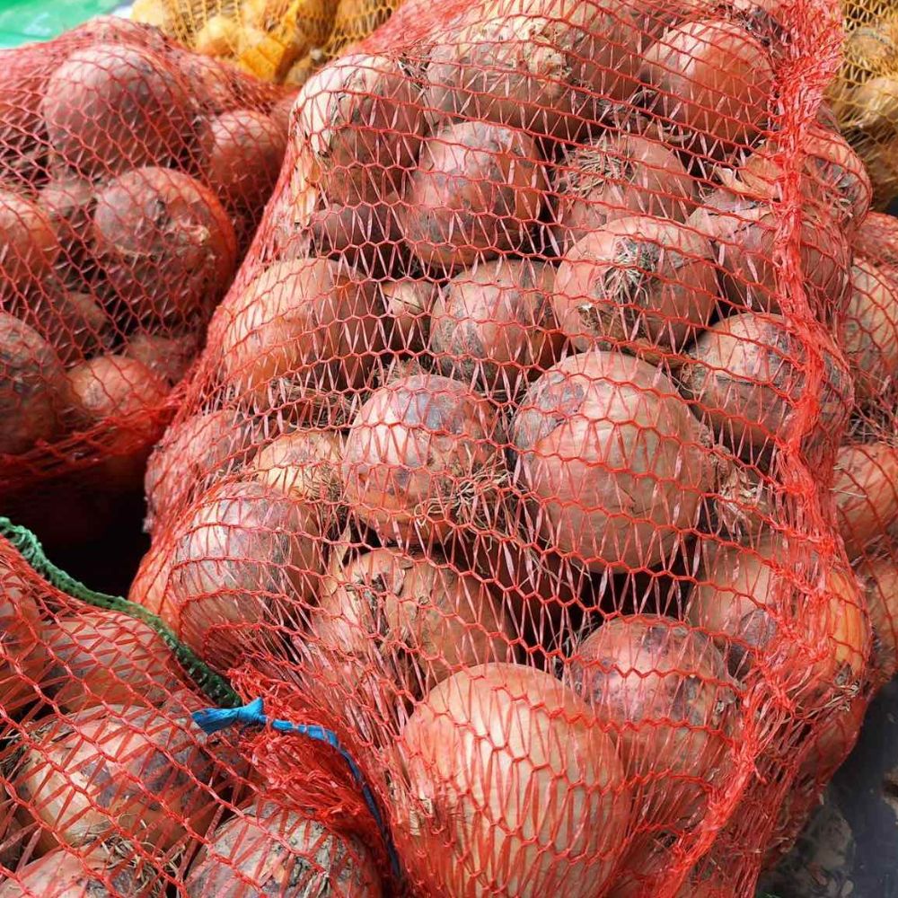 Crockett thumbnail 8