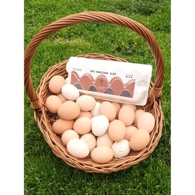 svježa - slobodni uzgoj