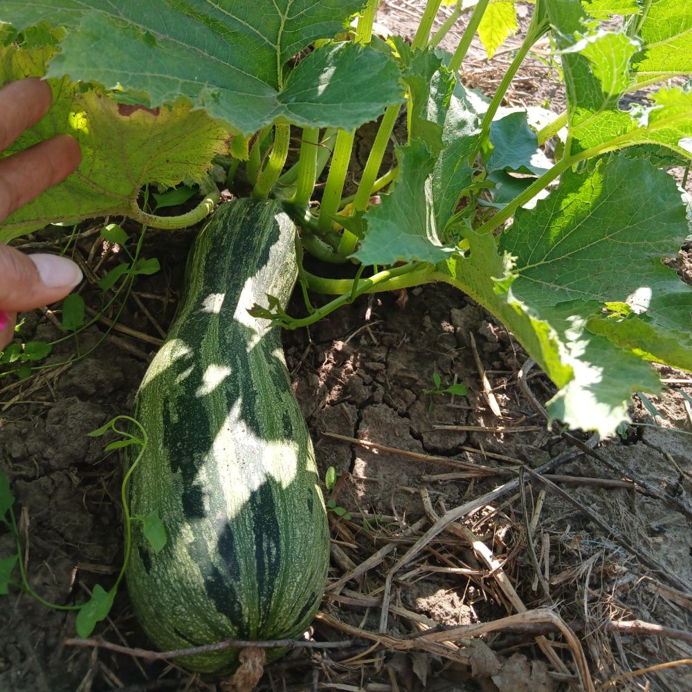  - Image 1