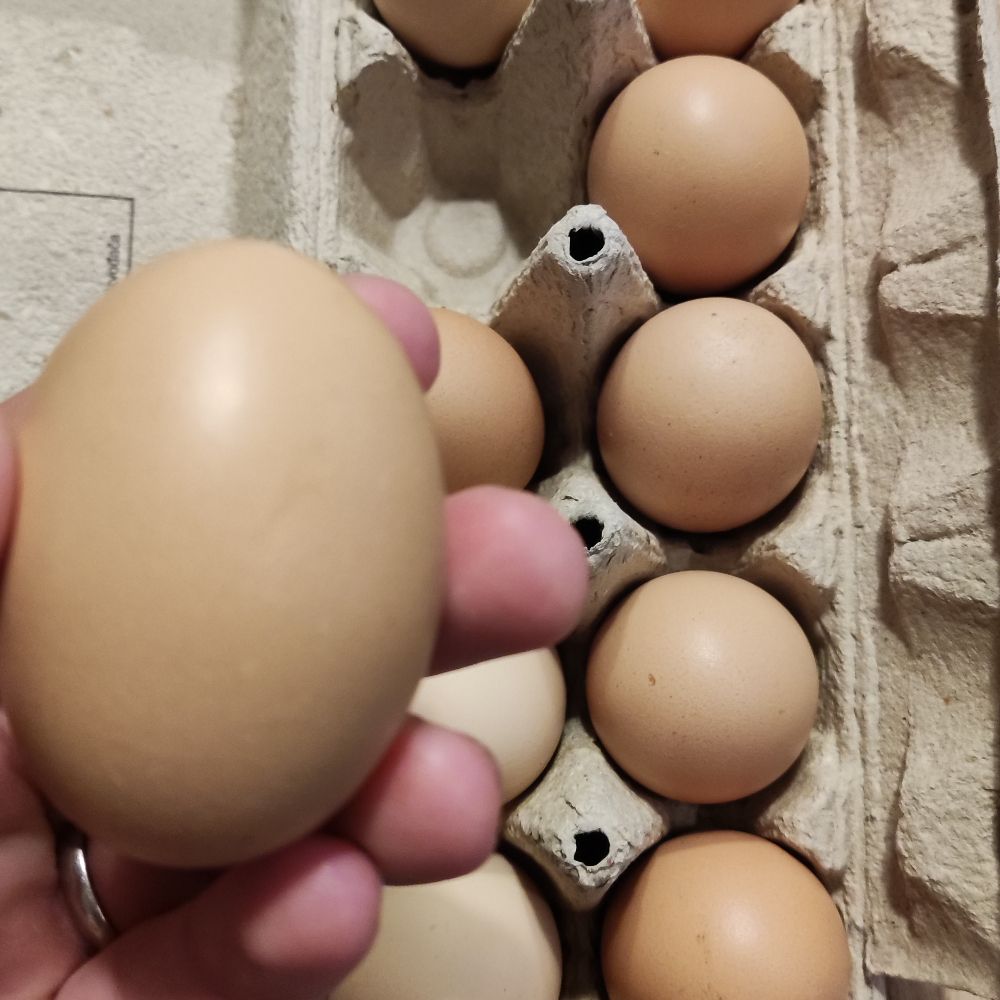 iz slobodnog uzgoja thumbnail 2