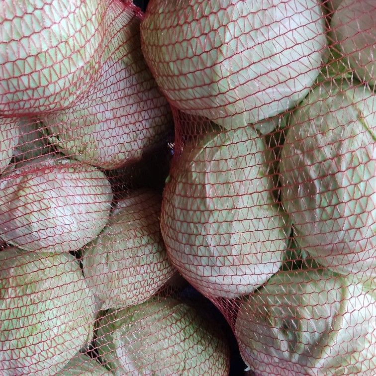 Za kiseljenje - Image 1