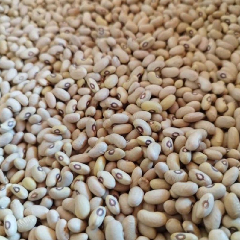 Grüner Slawonischer - Image 1