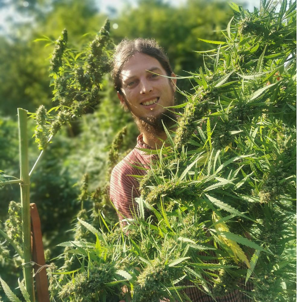 CBD kapi - 3% thumbnail 3