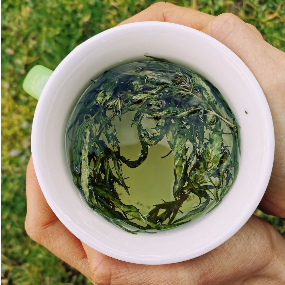 Djevičanski čaj  thumbnail 3