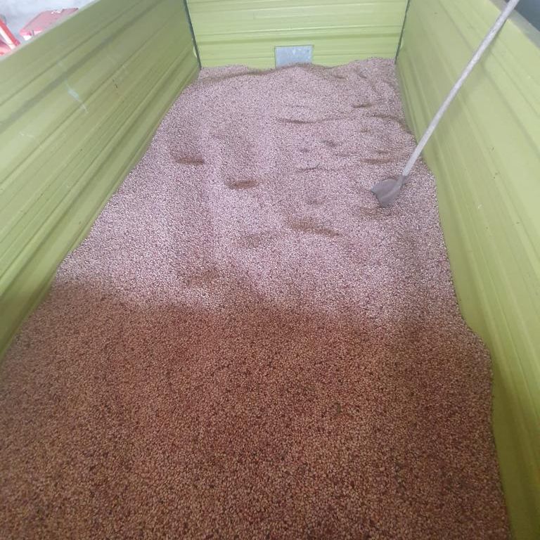 suhi šareni thumbnail 5