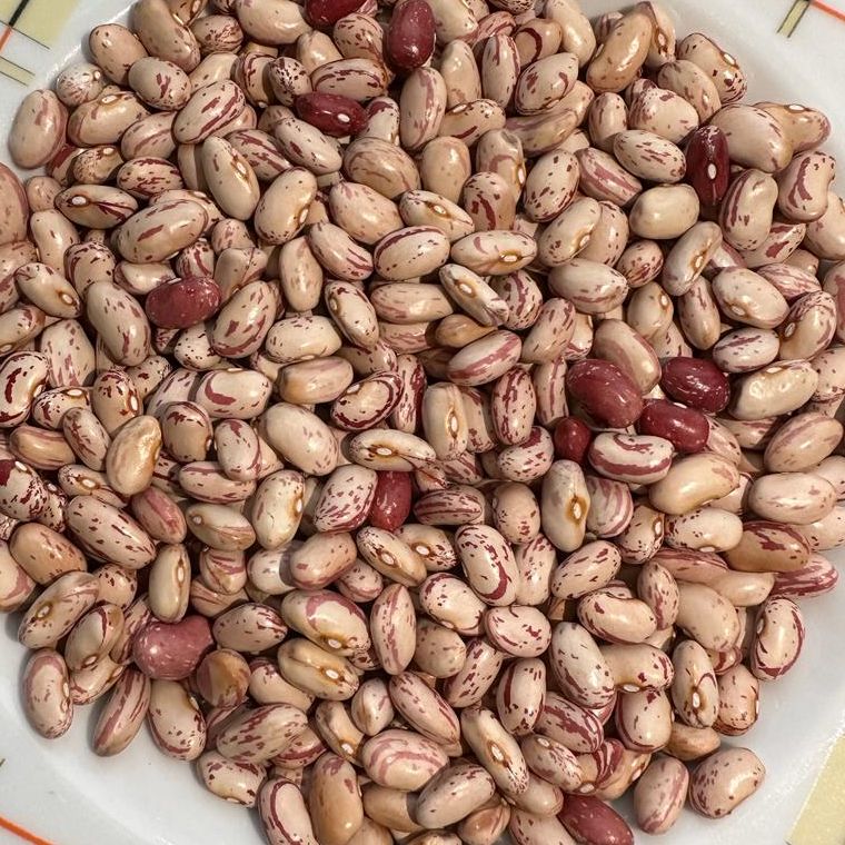 suhi šareni - Image 1