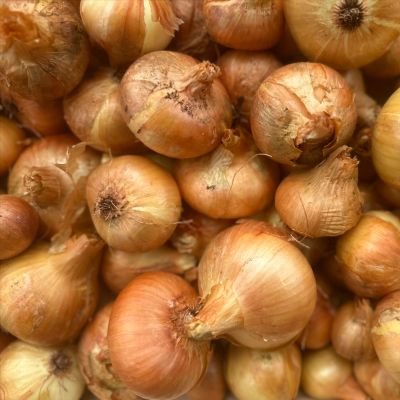 Eko crveni luk