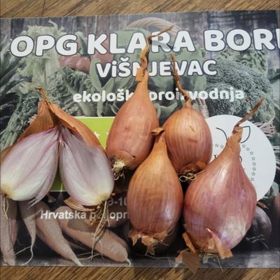 Luk ŠALOTA -EKO