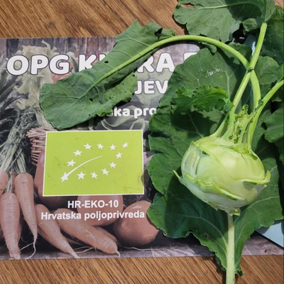 EKO ljubičasta i bijelo-zelena