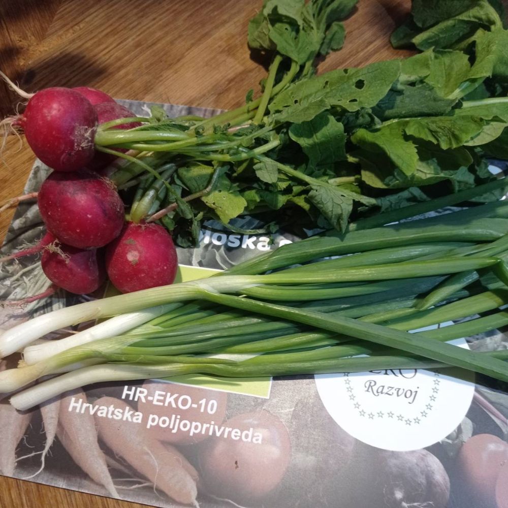 Rotkvica i mladi luk - Image 1