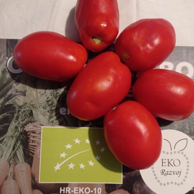 EKO RIO GRANDE- za šalšu