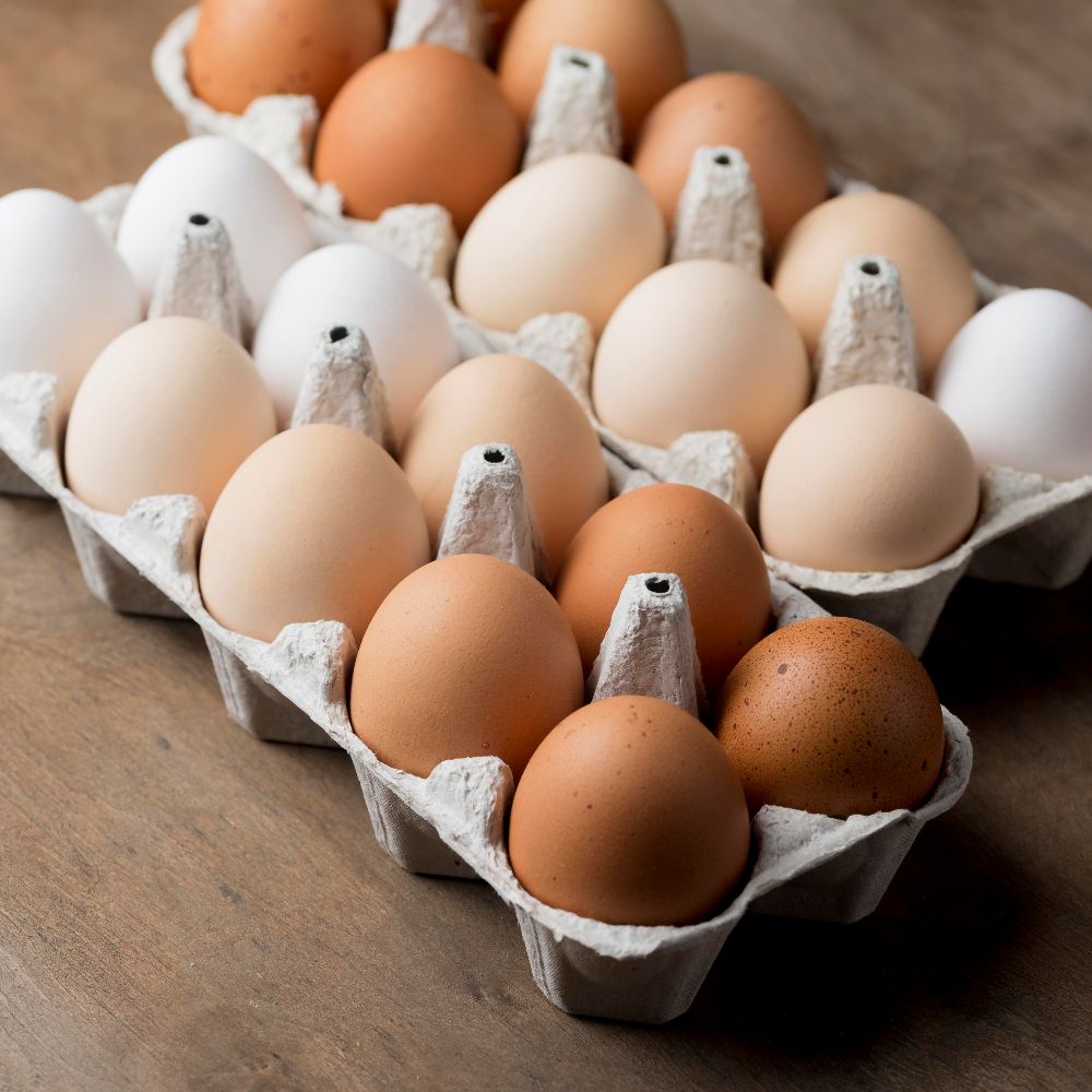 iz slobodnog uzgoja - Image 1