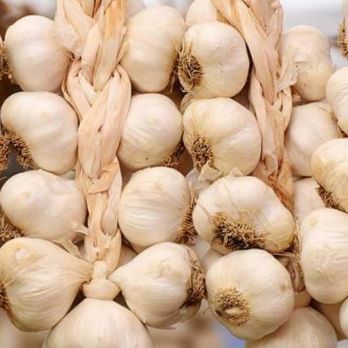 Eko Vijenac - Image 1