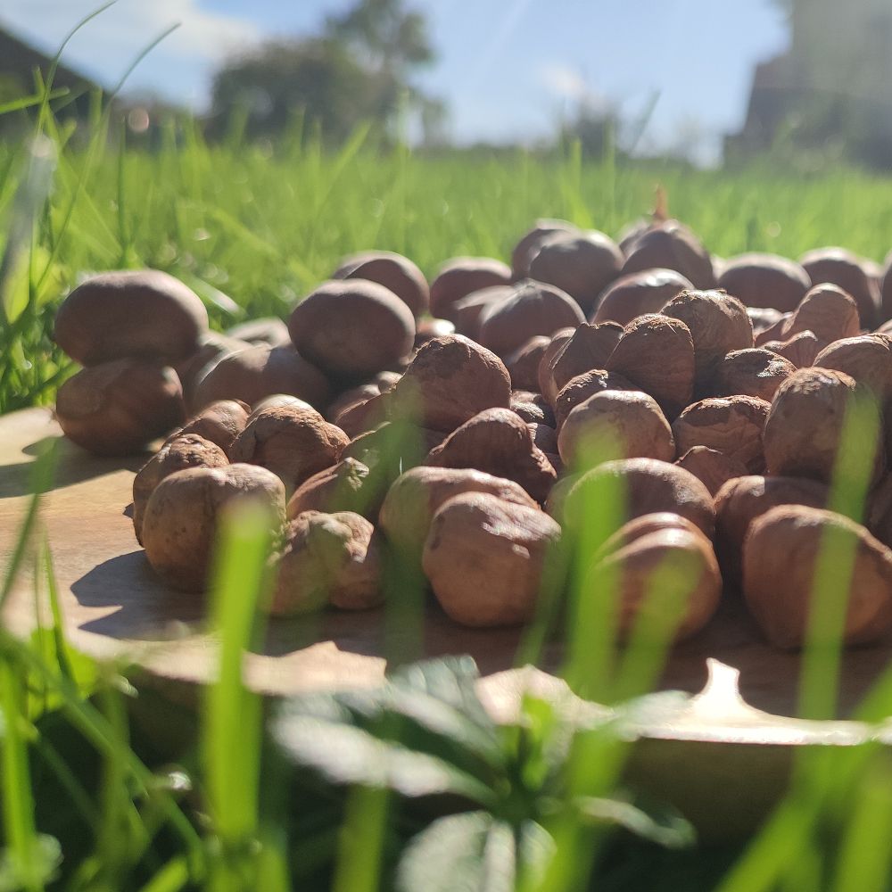 Slavonski Eko -  Rimski okrugli  thumbnail 3